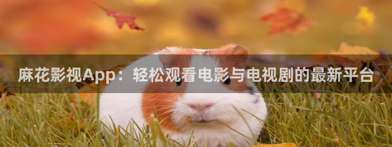 橘子视频苹果版本：麻花影视App：轻松观看电影与电视剧的最新平台