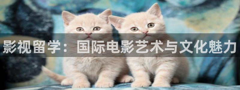 橘子的视频：影视留学：国际电影艺术与文化魅力
