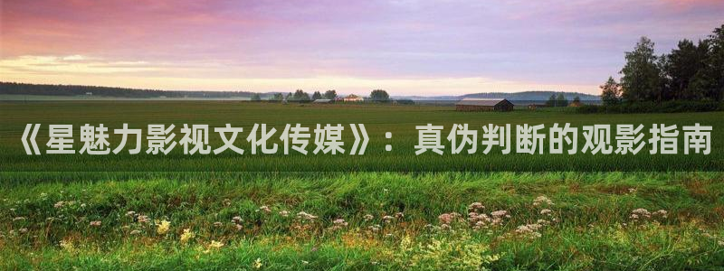 橘子和桔子有什么区别：《星魅力影视文化传媒》：真伪判断的观影指南