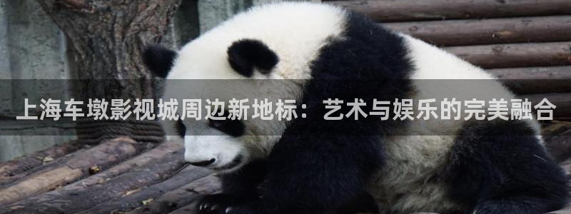 橘子视频平板怎么下载：上海车墩影视城周边新地标：艺术与娱乐的完美融合