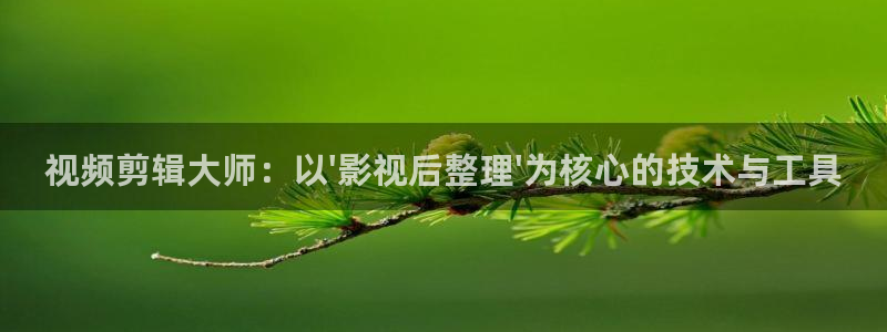 橘子tv电视盒子版：视频剪辑大师：以\'影视后整理\'为核心的技术与工具